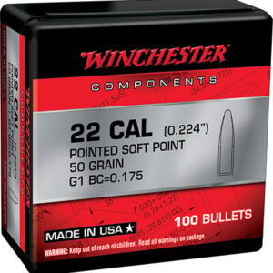 WINCHESTER BUL 22 50 PSP 100/10