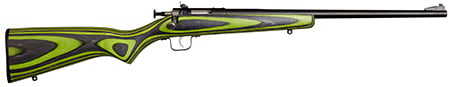 CRICKET 22LR BLUED BRL 16.12 1R GRN