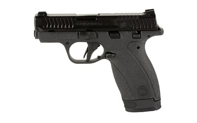 S&W BDYGRD 2.0 380ACP 2.75 12RD TS