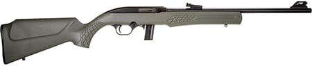 ROSSI RS22 22LR 18 10R ODG