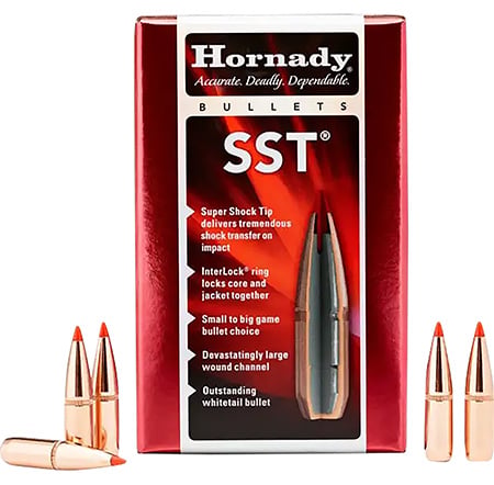 HORNADY BULL .257 117 SST 100/25