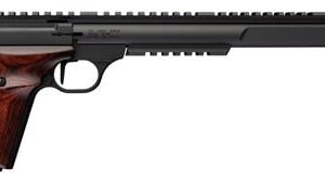BROWNING BM HNTR VARMINT LAM SR 22LR 0