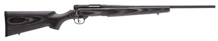 SAVAGE BMAG 17WSM SPORTER GRYLAM 0