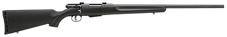 SAVAGE 25 WALKING VARMINTER 223 REM 19155