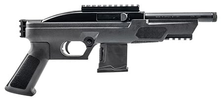 ROSSI RS22 22 LR