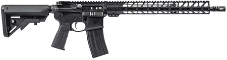 BLUE LINE SOLUTIONS 223 WYLDE