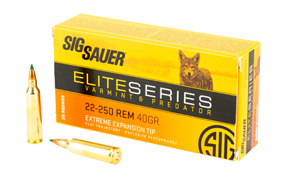 SIG AMMO 22 250REM 40GR V&P 20/200