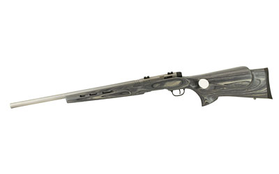 SAVAGE B.MAG TRGT TH 17WSM 22 8RD LAM