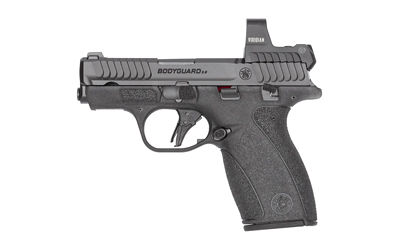 S&W BODYGUARD 2.0 380 10+1 NS RFX1