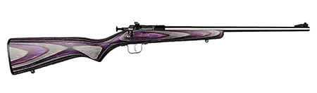 CRICKET 22LR STST BRL 16.12 1R PRPL