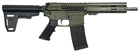 GREAT LAKES FIREARMS GL15 223 WYLDE