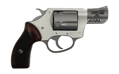 CHARTER ARMS CYTE 380ACP 2 5RD STS