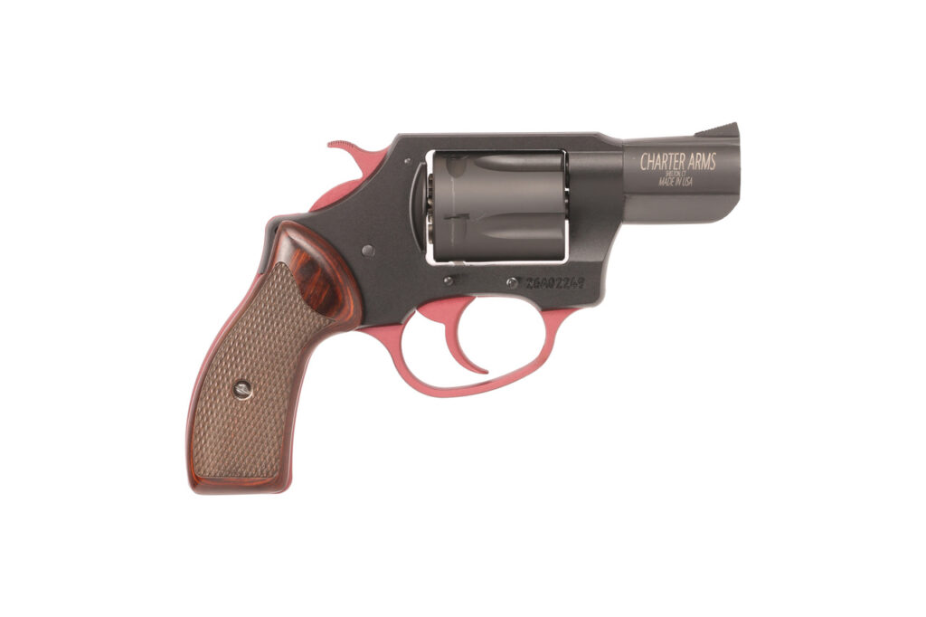 CHARTER ARMS MERLOT 38SPC 2"