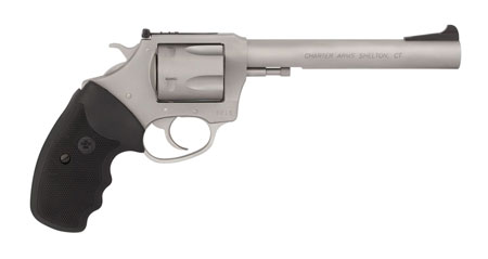 CHARTER ARMS MAG PUG TARGET 357 3 6RD 73566