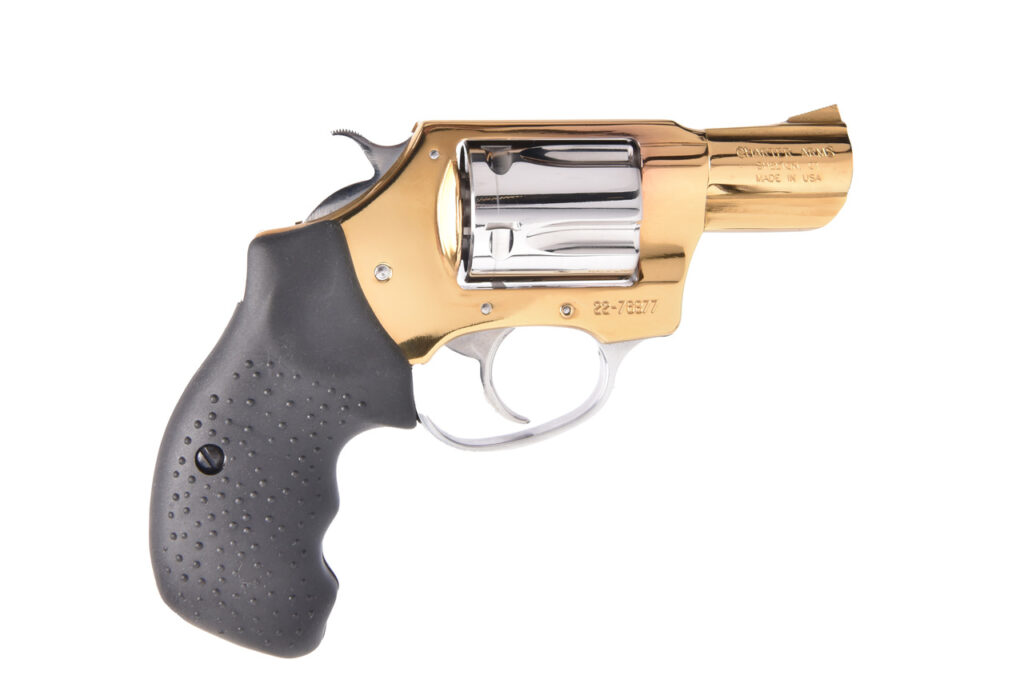 CHARTER ARMS GOLD 38SPC HIPOLISH 2"