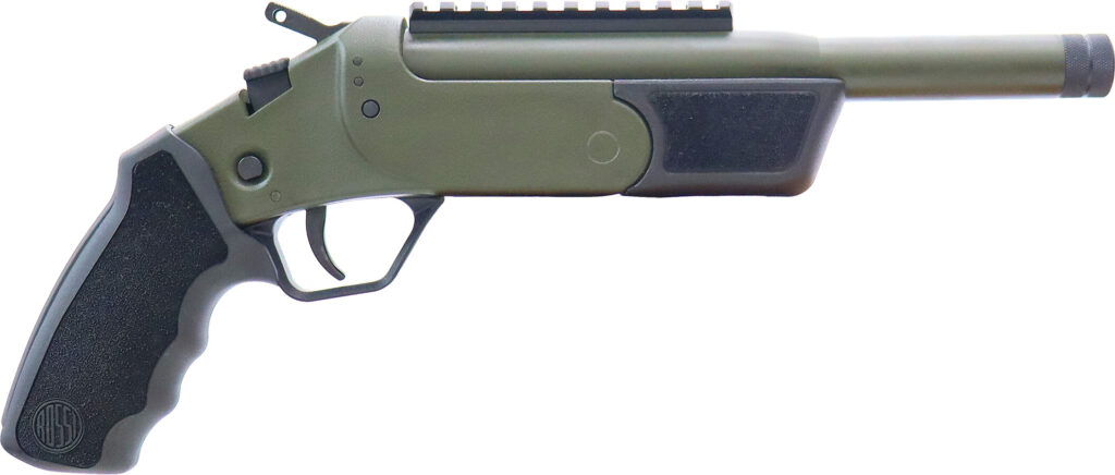 ROSSI BRAWLER 300BLK 9" BL/ODG