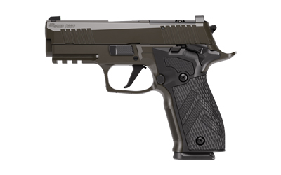 SIG P226 XLGN SAO 9MM 3.8 10RD GRY