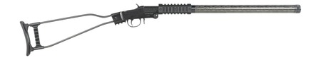 CHIAPPA LITTLE BADGR 22LR 16.5 12R BLK