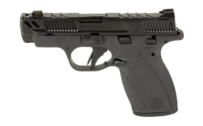 S&W PC BDYGRD 2.0 380ACP 3.1 10RD TS